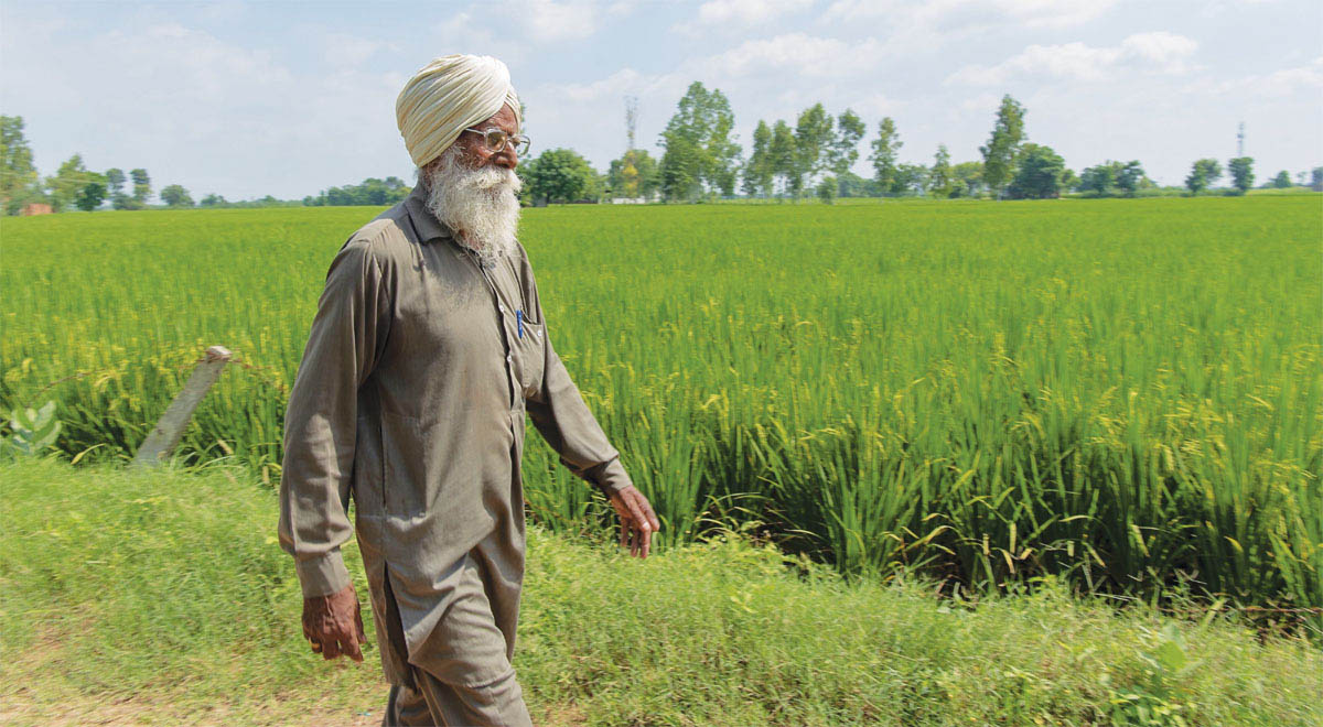 Sustainable farming: Punjab government allocates Rs 19.83 crore
